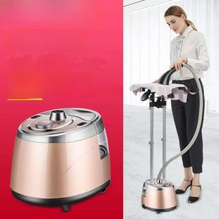 德国荣芝挂烫机家用立式双杆挂烫机便携式手持蒸汽挂烫机迷你烫斗