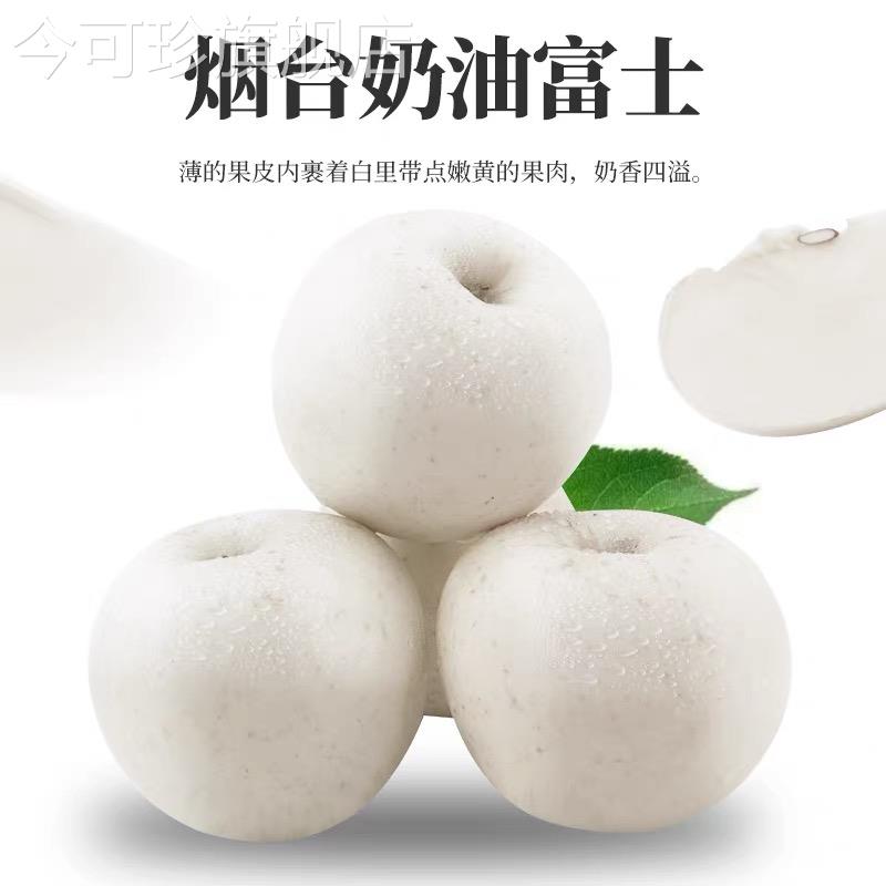 【现摘】山东新鲜奶油白苹果牛奶脆甜富士苹果新鲜5斤现摘现发