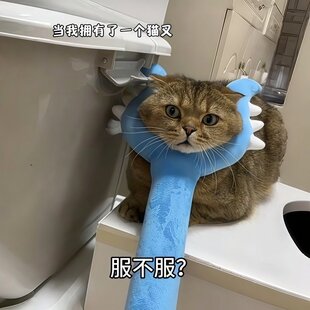 讨伐棒chikawa毛绒逗猫棒耐抓耐咬自嗨解闷神器互动型狗宠物玩具