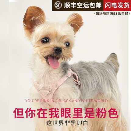狗狗牵引绳背心式遛狗绳狗绳子调节小型G犬胸抱婴袋泰迪可爱宠物