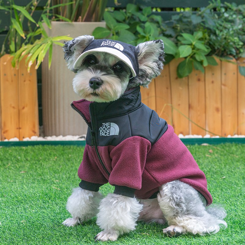 潮牌狗狗衣服中小k型犬秋冬摇粒绒宠物猫咪外套泰迪比熊雪纳瑞衣