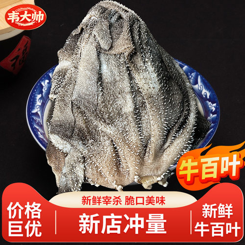 新鲜牛百叶整个毛肚商用