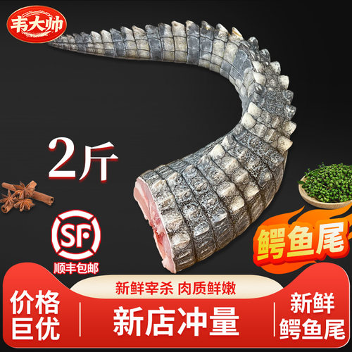 2斤新鲜鳄鱼尾现杀带皮鳄鱼肉