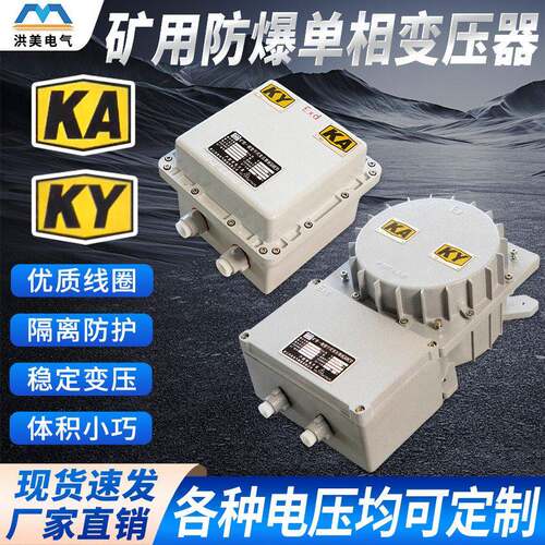 新款供应BBK-500VA380V变36V相防爆行灯变压器220V转24V12V500W