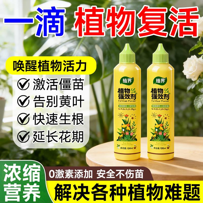 植界植物强效营养液富贵竹除尘专用郁金香水仙花室内盆栽通用肥料