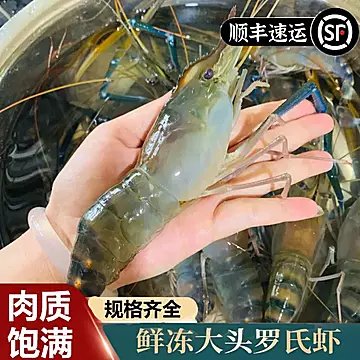 鲜活【罗氏虾】新鲜活冻大头虾满黄顺丰包邮