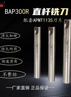 悍狮霸加工中心抗震直杆铣刀杆BAP300R/400R/10/12/14/15/16/20/