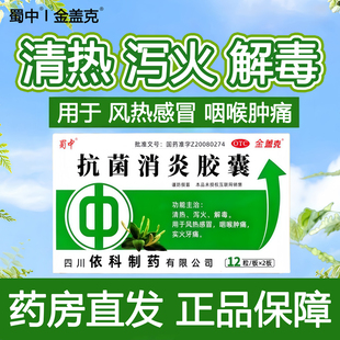 金盖克 抗菌消炎胶囊 0.52g*24粒/盒 清热泻火解毒风热感冒咽喉痛