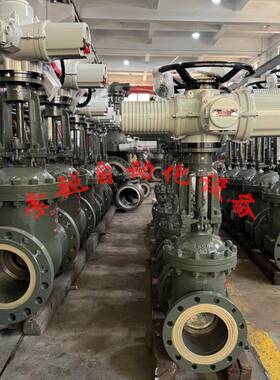 防爆型铸铁电动闸阀Z945T-16Q-DN250智能型HT200灰铸铁材质