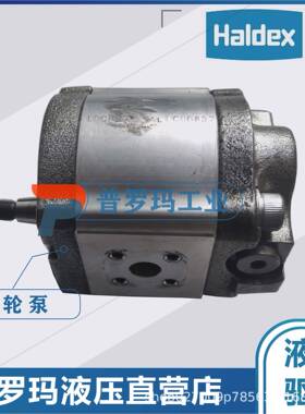 齿轮泵WP09A1B190R03BA121N/180202国产代替现货供应