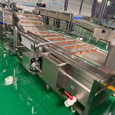 小型马齿苋气泡清洗机自动莼菜涡流冲洗设备商用金花菜加工输送