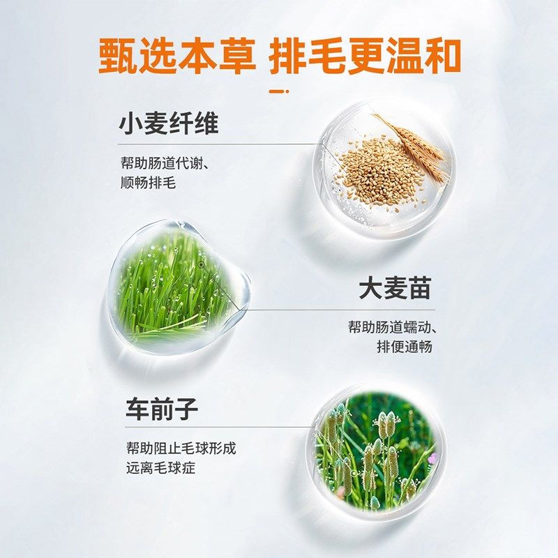 普安特猫草化毛膏猫咪专用营养调理排除毛球宠物营养补充剂兽用,宠物/宠物食品及用品,猫化毛膏/化毛球片,淘宝优惠券,粉丝福利购,淘宝优惠卷