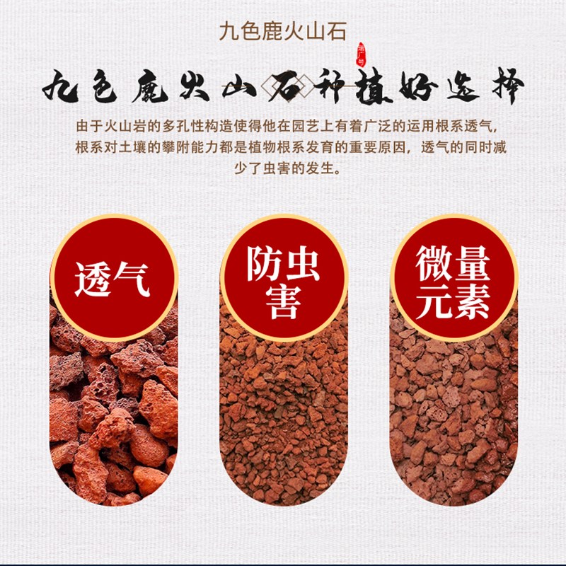 包邮20斤火山石 多肉兰花专用拌土颗粒营养土铺面垫底水族火山岩