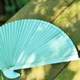 全竹扇子国风中式 女生复古 折扇中国风古风小巧便携结实耐用女款