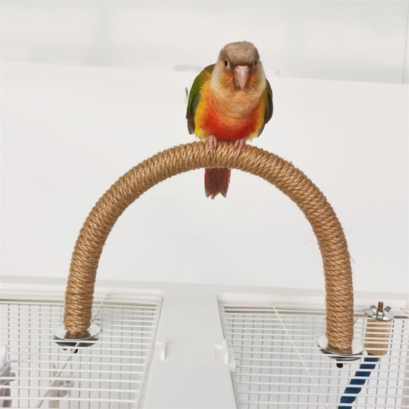 彩虹麻绳站杆 U型笼顶侧面多功能站杆鹦鹉鸟玄凤玩具宠物用品,宠物/宠物食品及用品,鸟玩具,淘宝优惠券,粉丝福利购,淘宝优惠卷