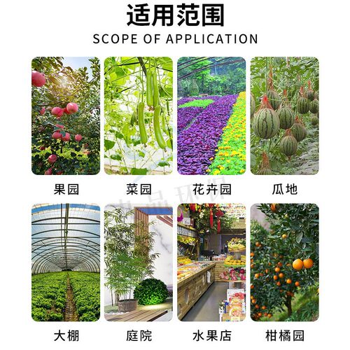 柑橘大实蝇诱蝇球果园粘虫板贴果实蝇药诱粘剂灭果蝇引诱剂针锋贴