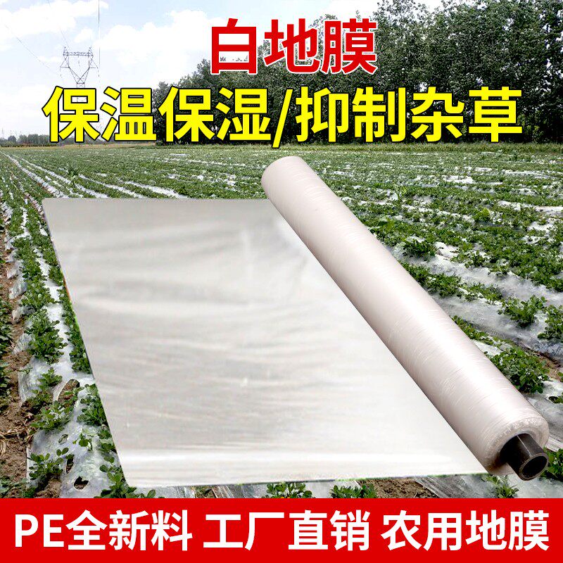 地膜农用白膜育苗60公分宽甘薯草莓玉米种植白的全新料花生薄膜。