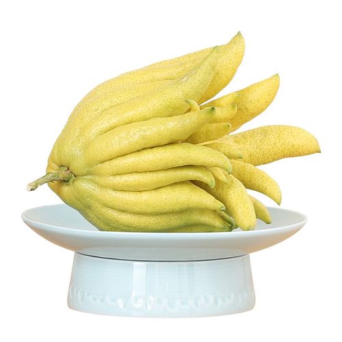 陶瓷中式高颜值放佛手柑的器皿托盘高脚瓜果花瓶水培茶桌摆件茶点