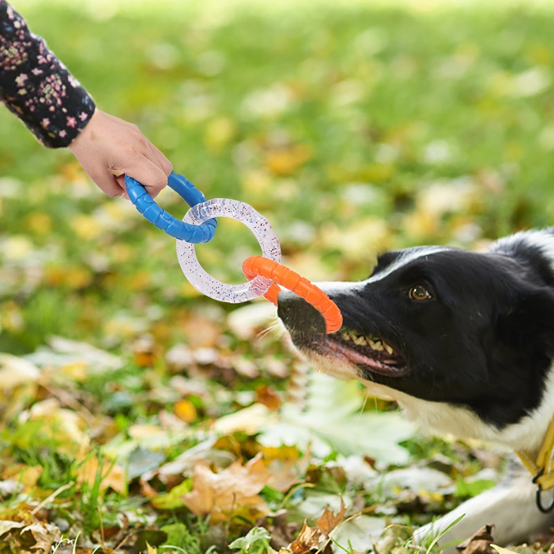 doglemi狗狗磨牙耐咬玩具宠物狗咬圈互动拉扯洁齿消耗体力大型犬