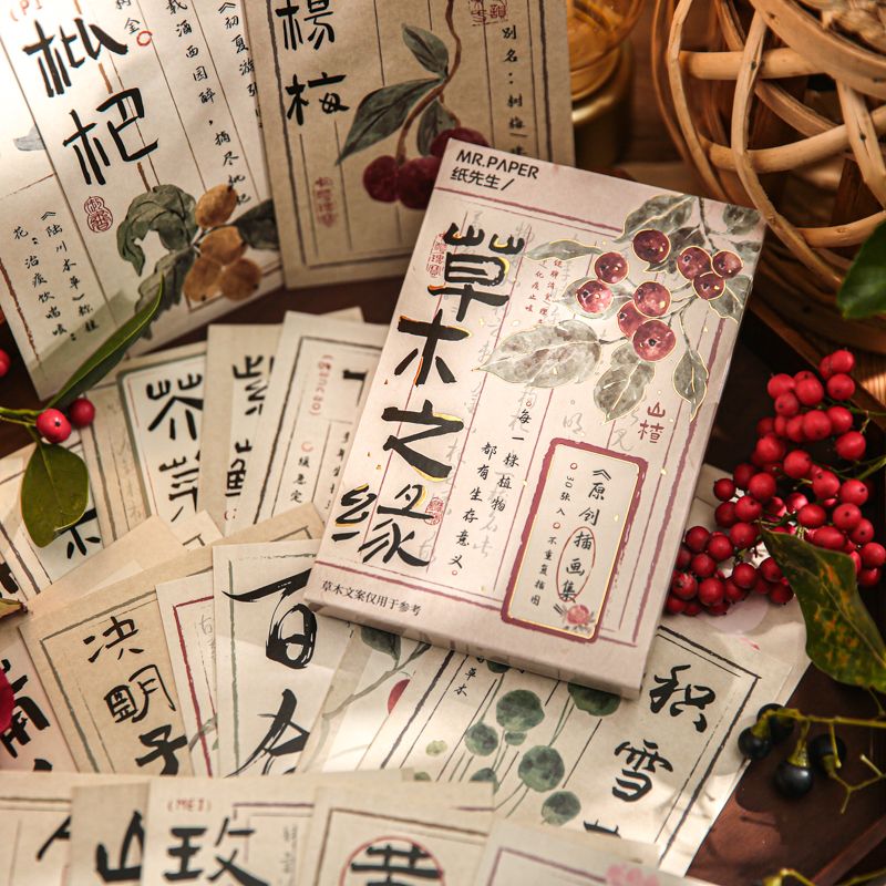 草木之缘盒装明信片 国风花卉本草植物中草药手帐素材卡留言贺卡