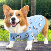 宠物狗泰迪衣服冬天中型小型犬比熊雪纳瑞毛衣幼犬柴犬柯基秋冬装