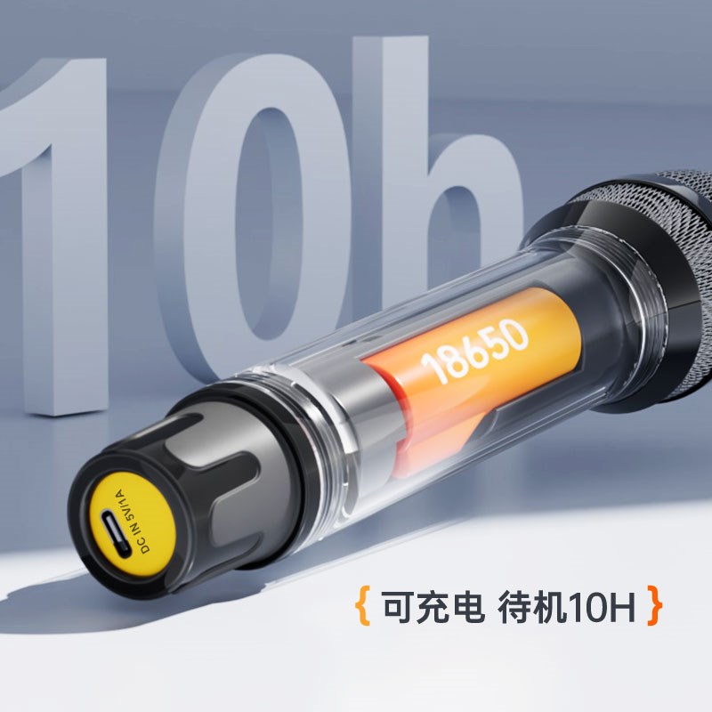 DSP防啸叫万能无线话筒专业舞台演出直播k歌手持通用麦克风一拖二
