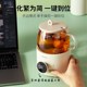 啡格全玻璃恒温养生壶多功能家用养生杯电炖杯小型办公室煮花茶壶