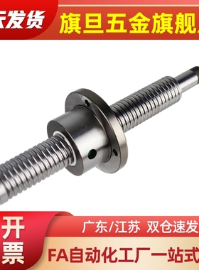 LCP02/03/LCH01/04/11/12滚珠丝杠16-5-10-L300/500/600