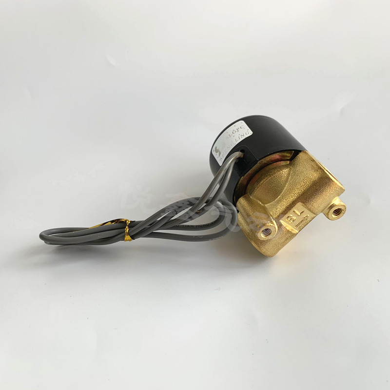 2分高压电磁阀 2WH018-08高压电磁阀 压力25公斤 220V 24V12V包邮