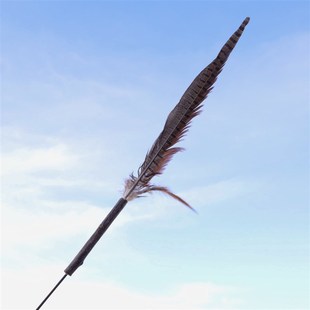 一米七超长杆逗猫棒木天蓼山鸡毛替换头耐咬磨牙玩具省力逗猫玩具