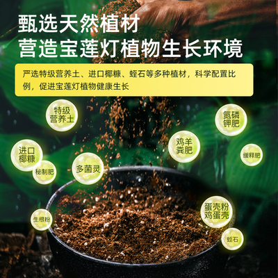 宝莲灯专用土花土肥土壤营养土养花专用种植土花卉有机土培植土