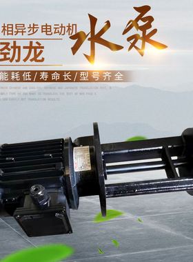 玻璃清洗机黑色水泵 劲之龙YSB7102HF100/50 250W强力泵耐酸碱