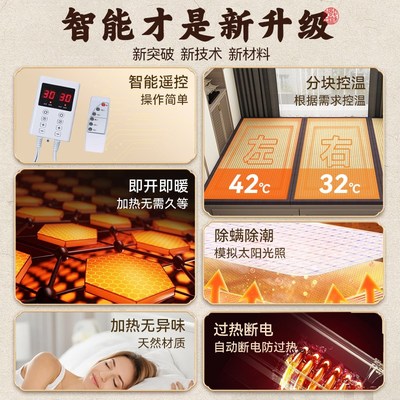 电加热榻榻米垫子定做尺寸日式加热垫椰棕炕垫床垫定制尺寸地垫