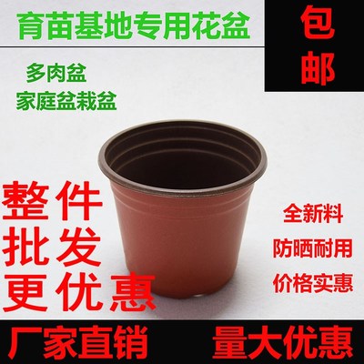 塑料双色花盆小苗专用培育盆摔不坏的多肉花盆加厚育苗钵简易花盆