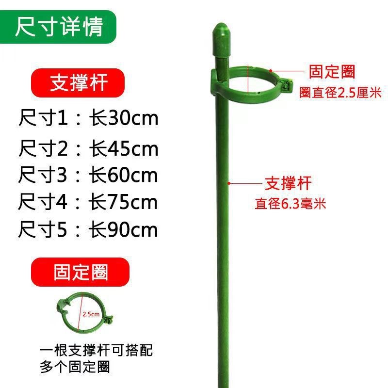 植物支撑杆兰花护叶枝龟背竹海芋专用园艺扶持架花卉防倒伏固定器