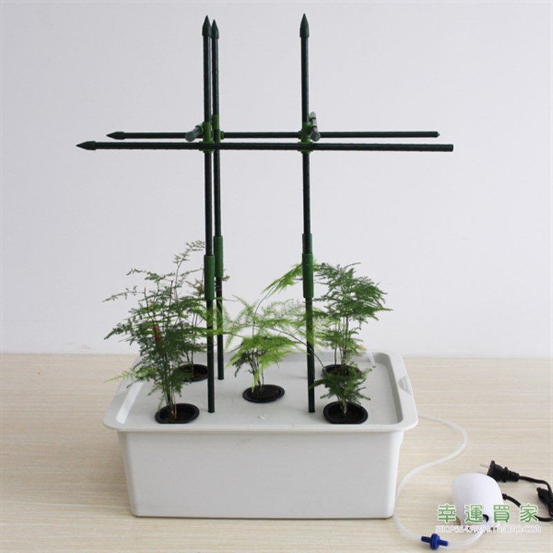 幸运买家无土栽培花盆番茄黄瓜文竹果蔬绿植5孔增氧型水培种植箱