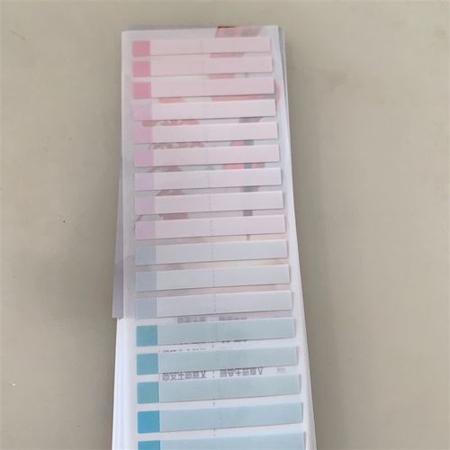 空白贴可覆膜会考小科政治历史地理生物速查目录标签提纲贴速查