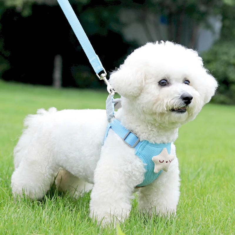 小狗牵引绳背心式小型犬泰迪专用胸背带幼犬链子0负担 遛狗绳外出