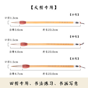 凤泊亭毛笔狼毫羊毫田楷专用毛笔初学者兼毫毛笔中楷大楷专业级楷