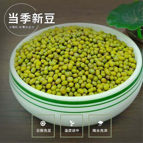 新货东北绿豆25年农家自产新鲜皮薄解暑绿豆汤粥糕发豆芽杂粮豆类
