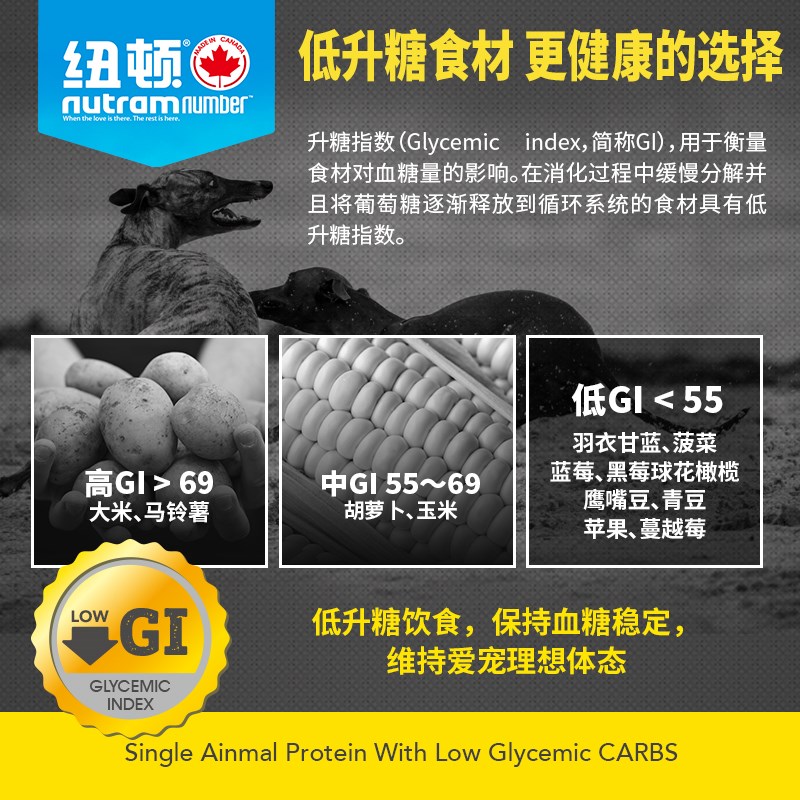 加拿大纽顿猫粮T32高蛋白鸡肉火鸡T24鱼肉去骨鳟鱼T22幼猫成猫