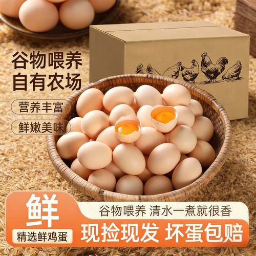 土鸡头谷物喂鲜鸡蛋笨鸡蛋