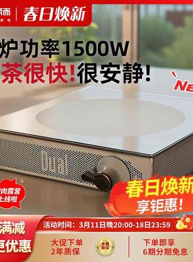 DUAL DIK 45帝而Dual围炉煮茶电陶炉家用电茶炉电炉子室内高端小