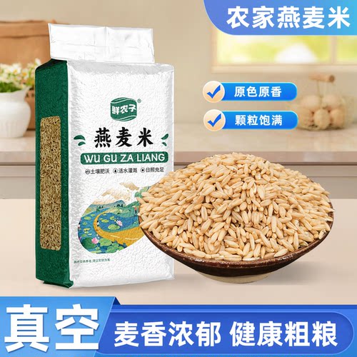 东北燕麦米真空包装燕麦仁粗粮杂粮可煮粥煲饭胚芽米1斤500g