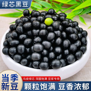 2025年新豆东北绿芯黑豆打豆浆专用真正醋泡黑豆绿心优质新货农家