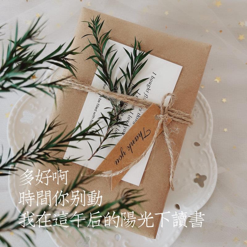 复古文艺纯色进口加厚牛皮纸礼物包装纸套装森系书相框真树叶装饰