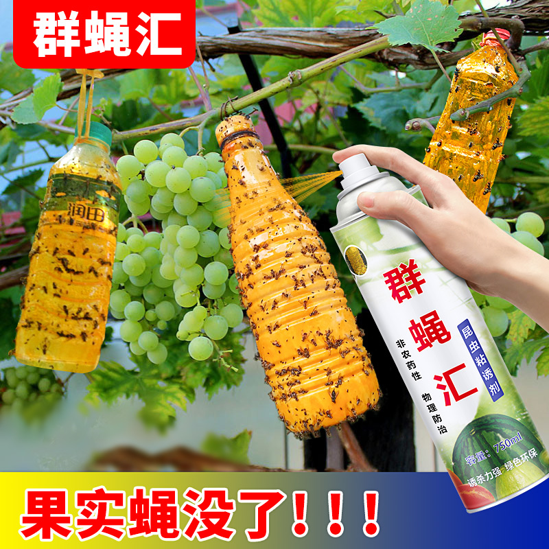 群蝇汇瓜果实蝇诱粘剂果蝇药针蜂贴引诱剂昆虫诱捕器诱捕剂粘虫胶