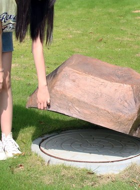 仿真空心假石头公园林井盖遮挡装饰物别墅庭院草坪人造景观石摆件