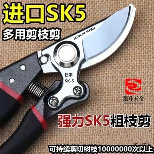 省力修枝剪家用果树修枝剪刀园林粗枝剪刀园艺剪树枝剪