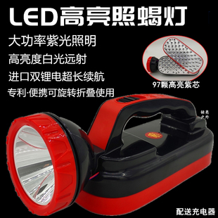 折叠蝎子灯大功率照蝎专用超亮led充电强光紫光灯豆虫灯
